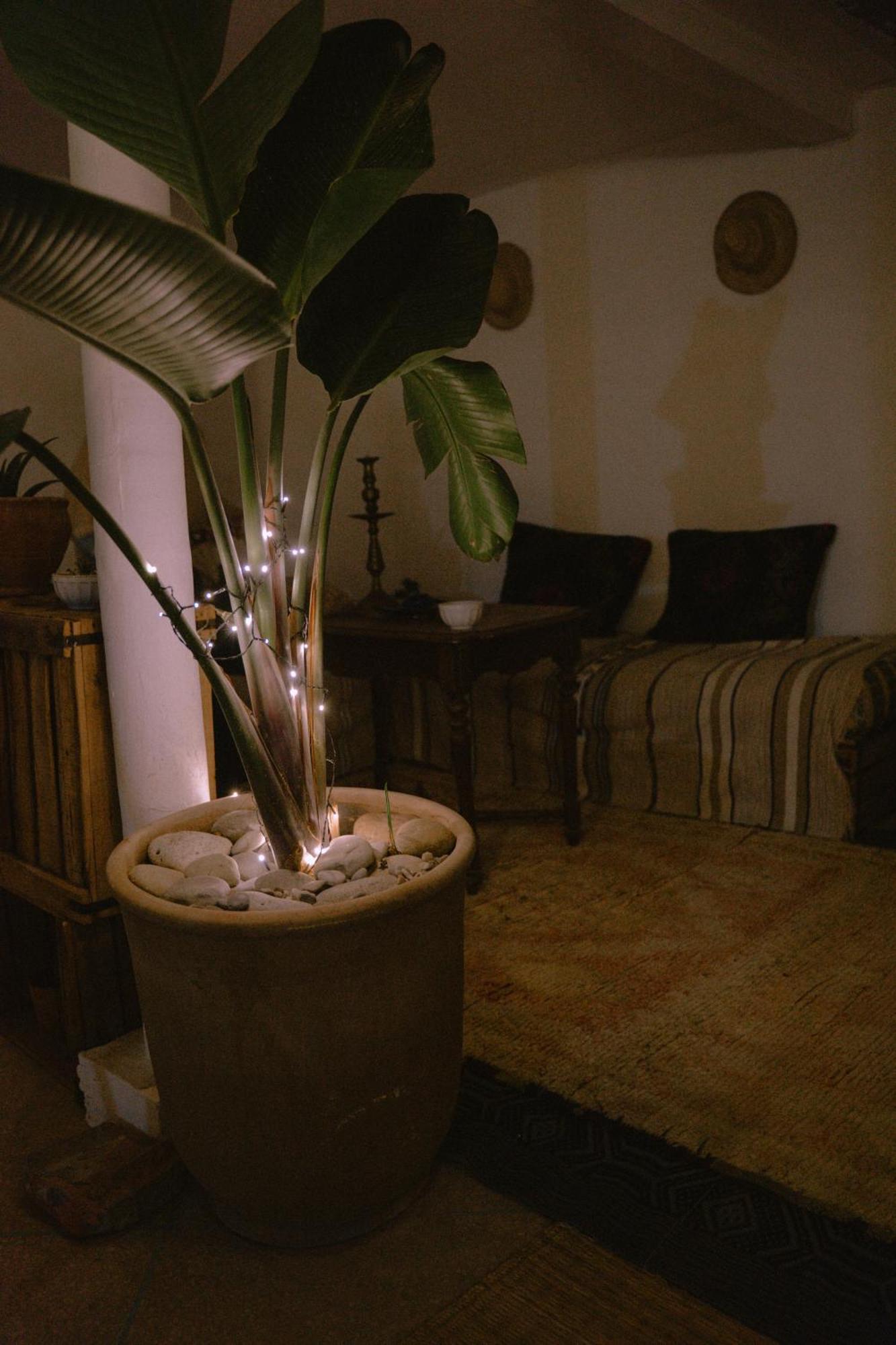 Tamraght Line Up Surf Morocco Bed & Breakfast エクステリア 写真