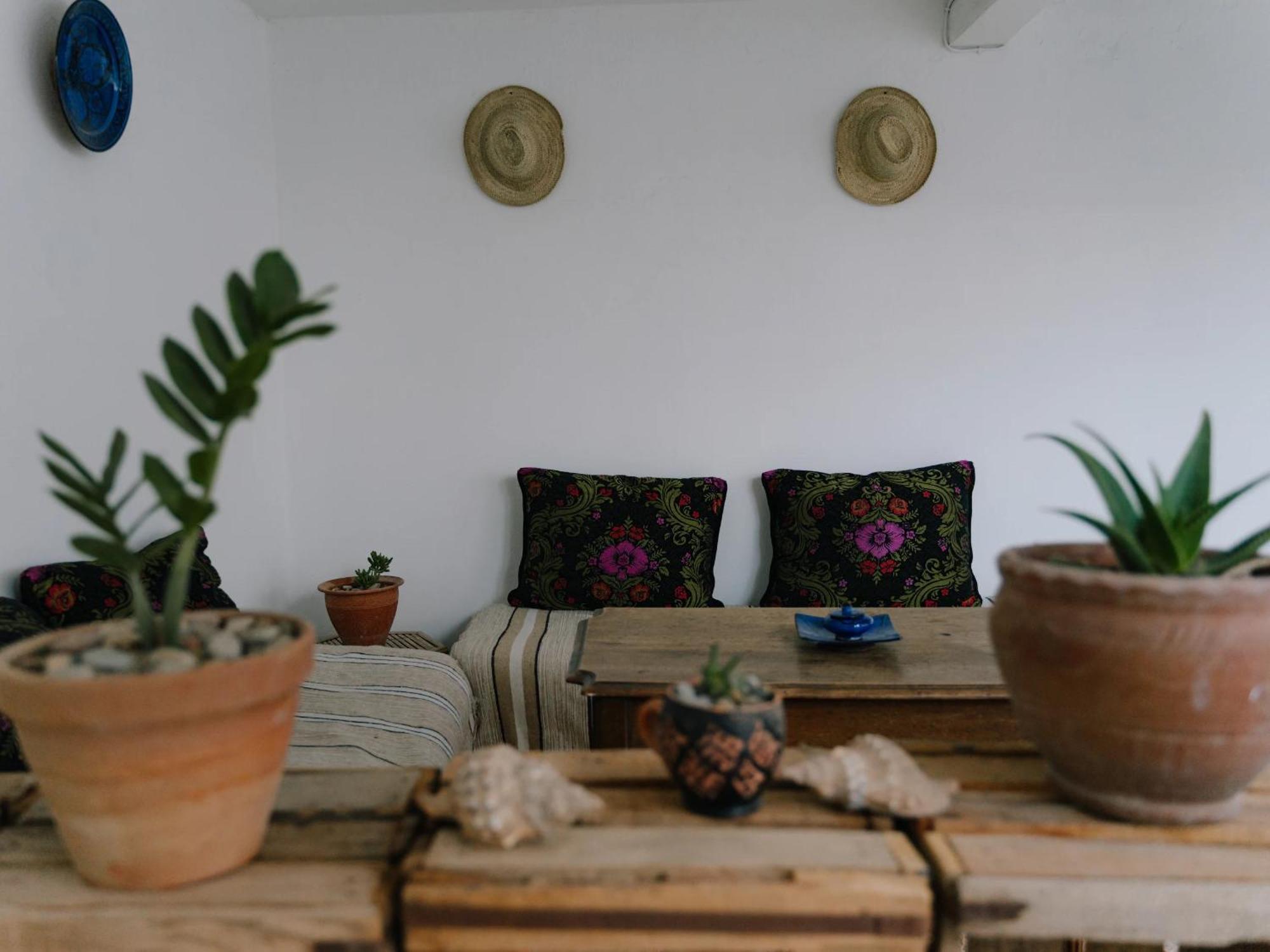 Tamraght Line Up Surf Morocco Bed & Breakfast エクステリア 写真