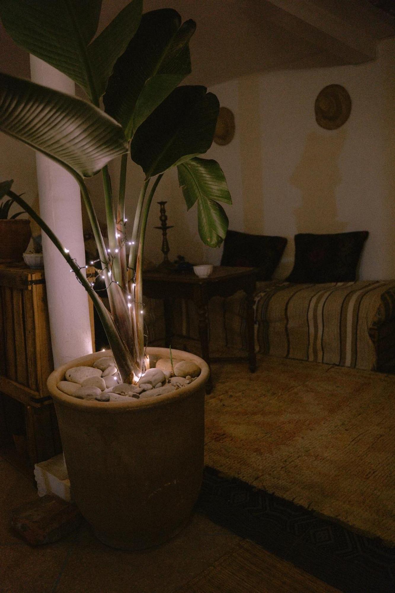 Tamraght Line Up Surf Morocco Bed & Breakfast エクステリア 写真